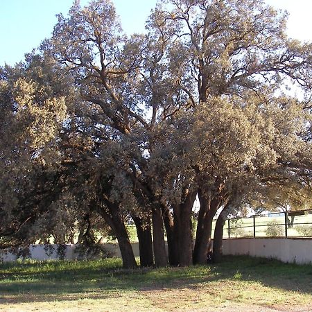 Agroturismo Calixto Villarrobledo Buitenkant foto