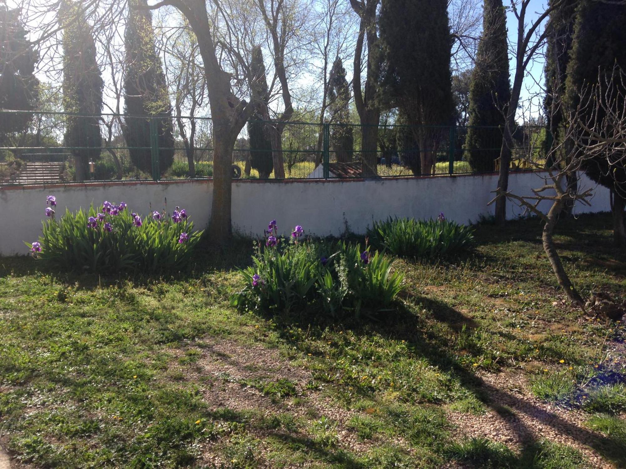 Agroturismo Calixto Villarrobledo Buitenkant foto