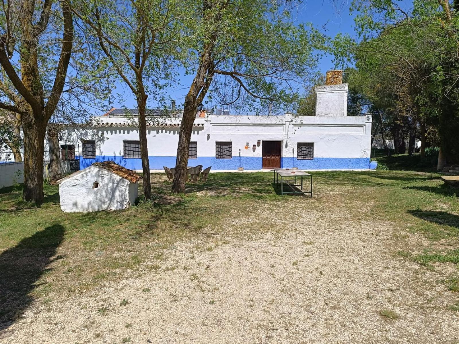 Agroturismo Calixto Villarrobledo Buitenkant foto